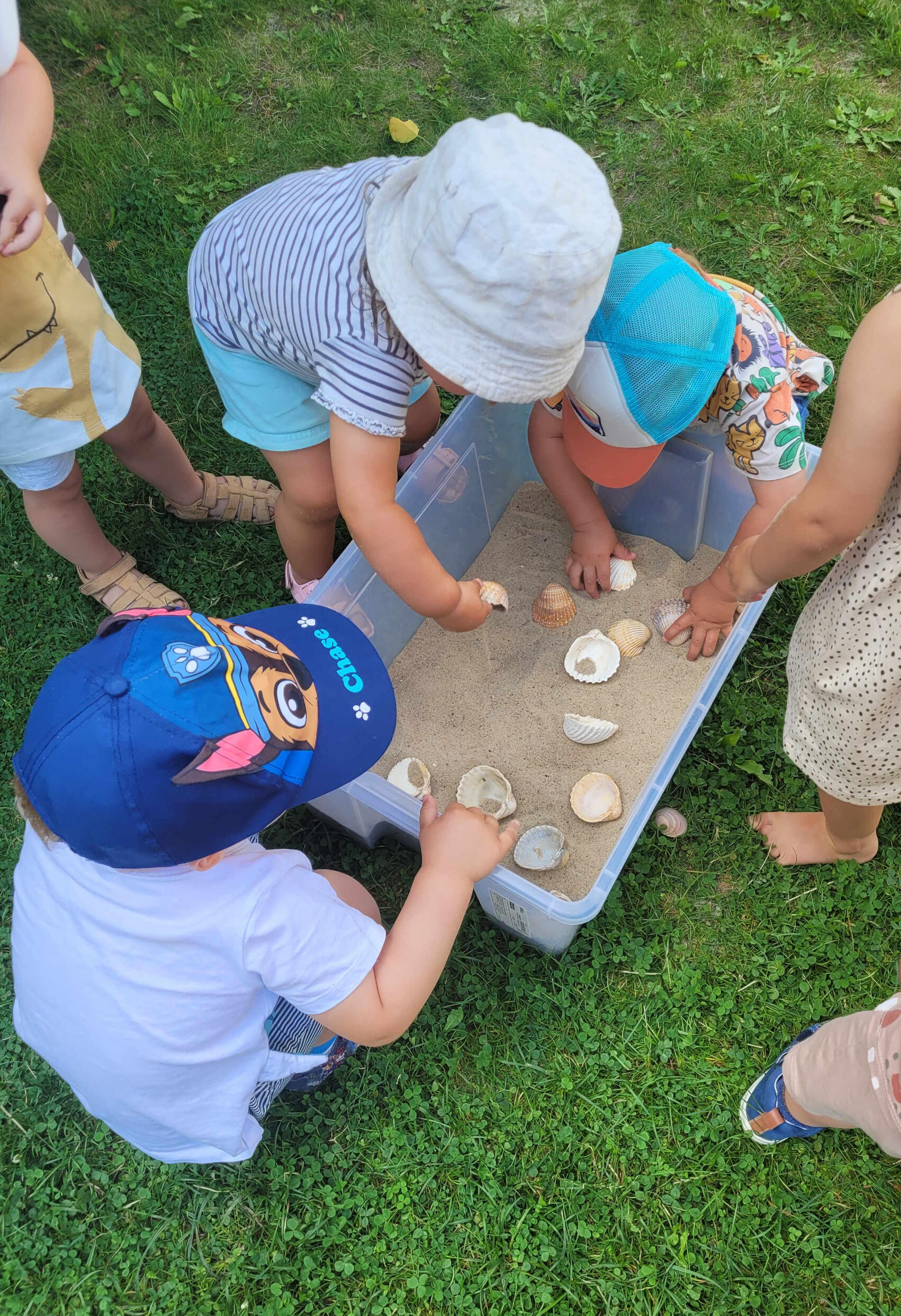 Dzieci bawiące się na placu zabaw w Żłobku Mariposa w Warszawie